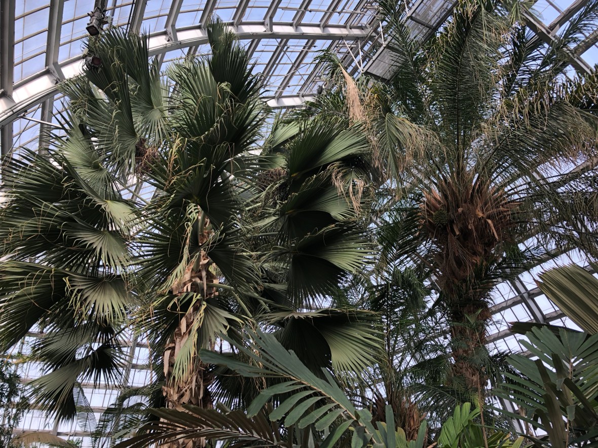 Photo Feb 18, 1 24 01 PM