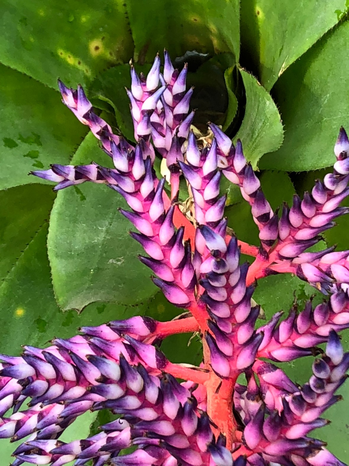 Photo Feb 18, 12 06 13 PM