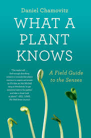 what a plant knows