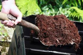 compost