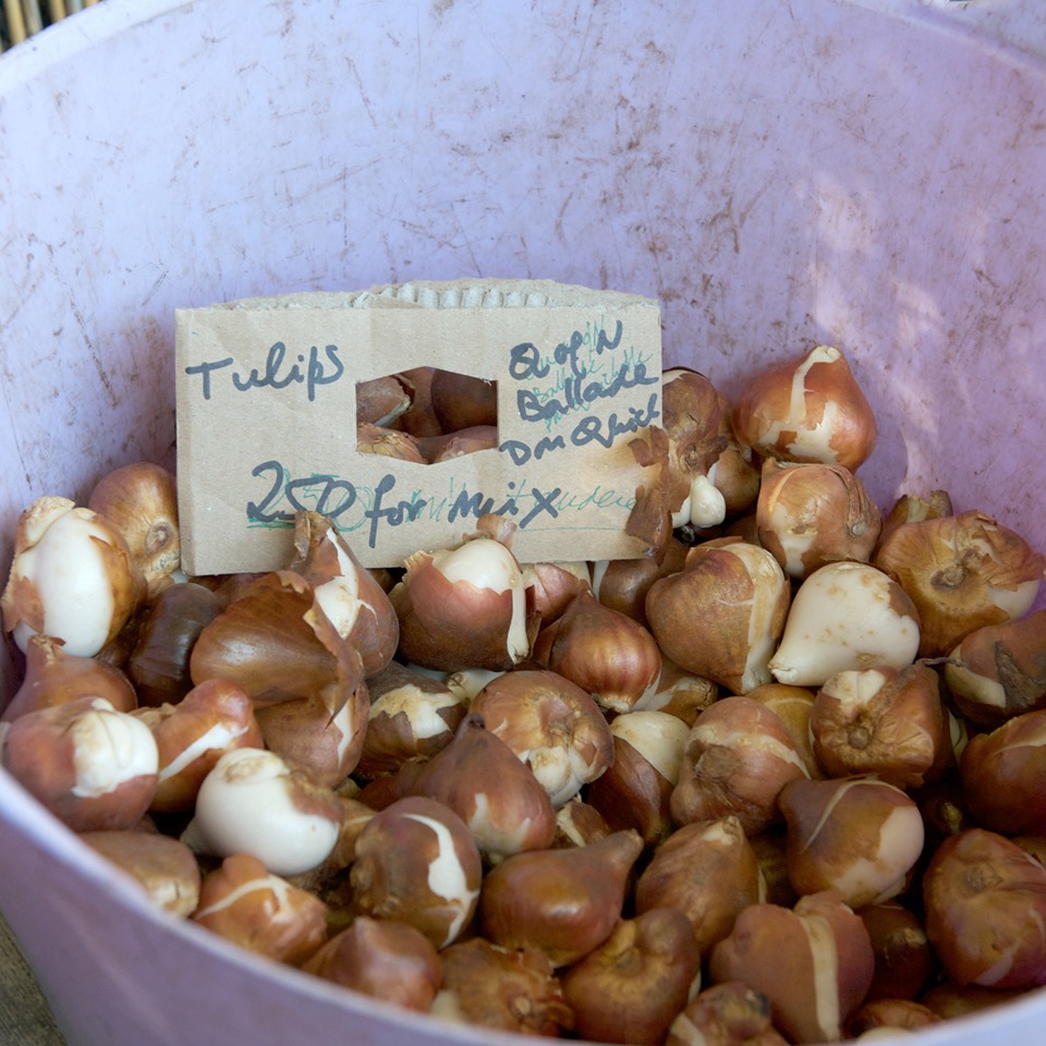 74596451_2788571381177459_5066797198541324288_n