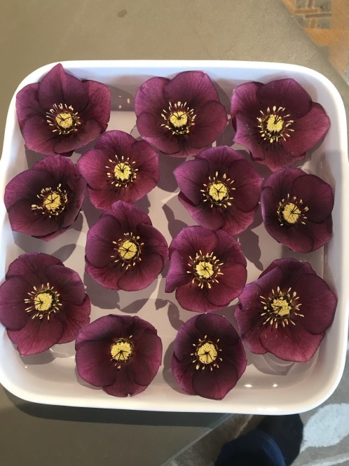 4AA48FF9-7523-4E3A-BD46-4FD788FFE781