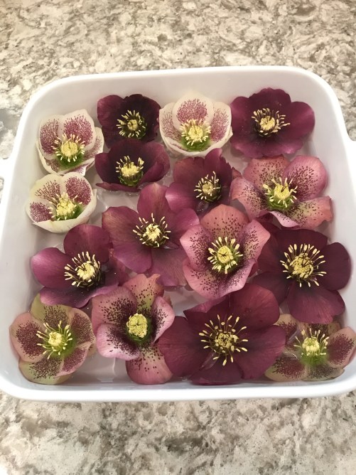 7888E468-799F-4F98-86FF-A26242A4AD5A