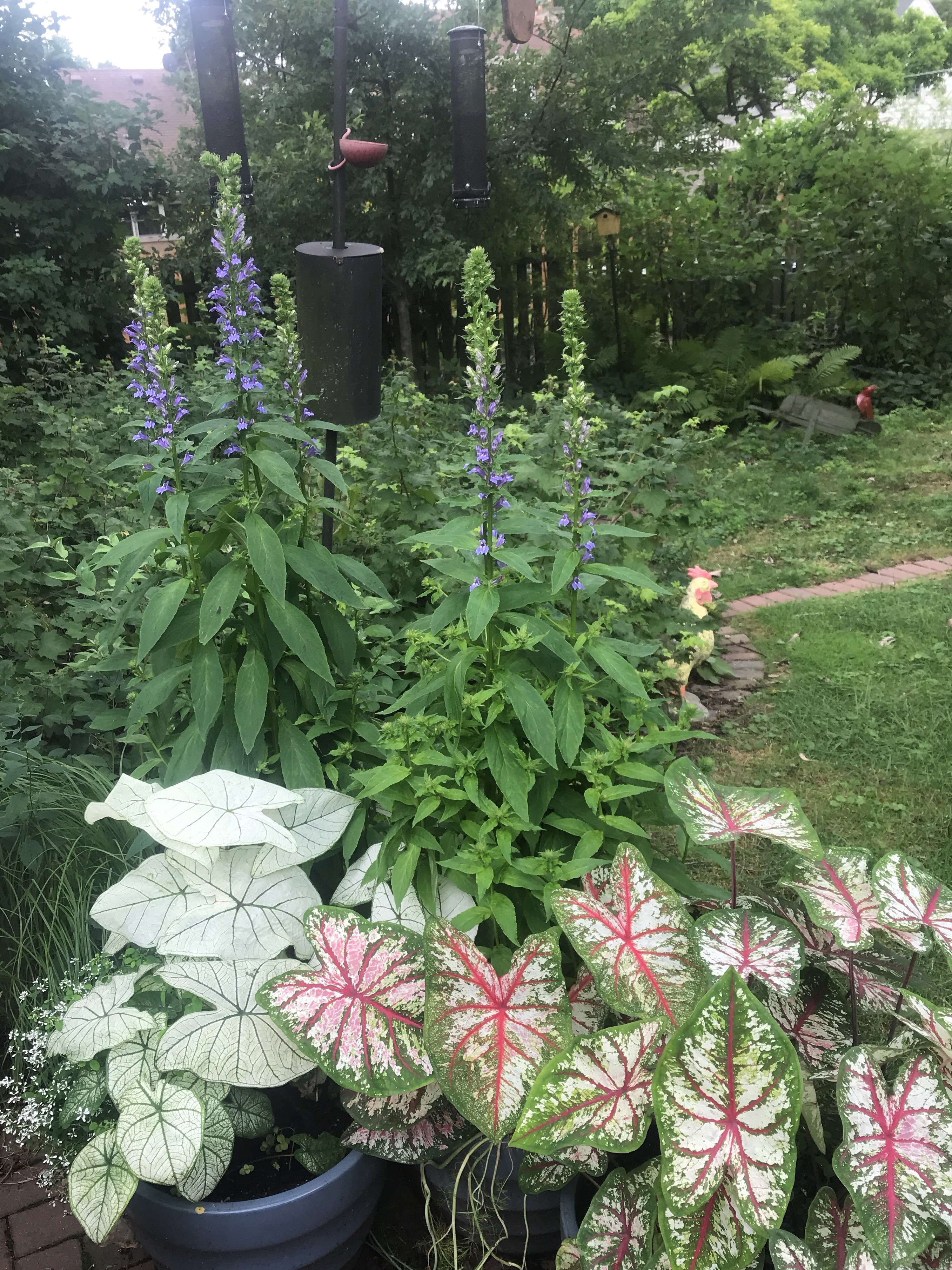 AA66C701-7C8D-467F-885F-756454F9E00D