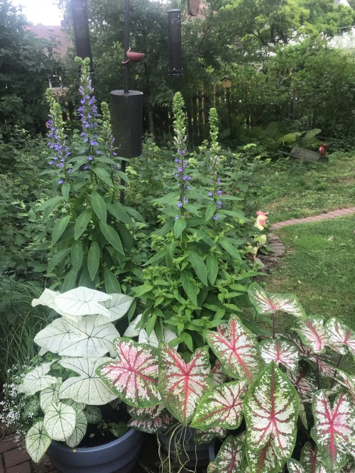 AA66C701-7C8D-467F-885F-756454F9E00D