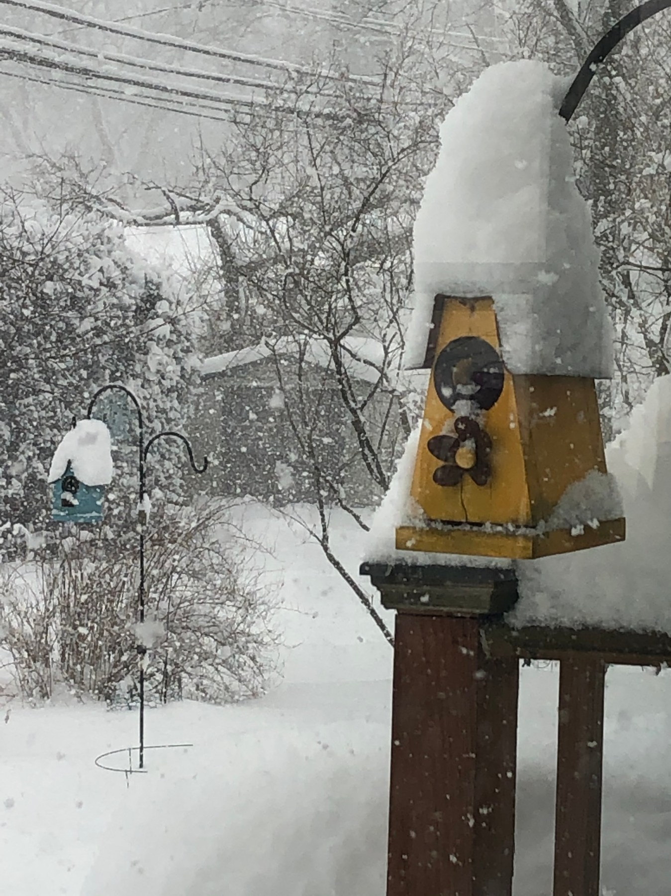 bird houses in snow